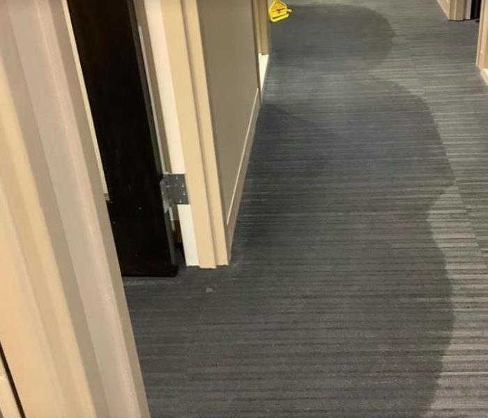 water damage on carpet of commercial office building 