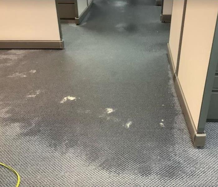 water damaged carpet in commercial office building