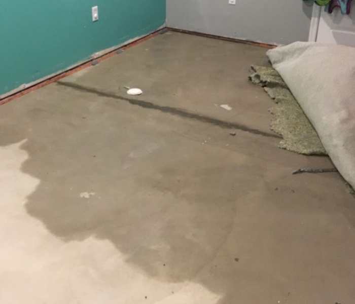 water damaged concrete under carpet